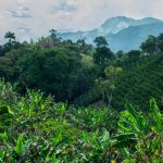can-colombia-fulfill-the-promise-of-becoming-an-agrifoodtech-powerhouse?