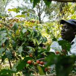 why-national-biodiversity-plans-must-integrate-agriculture-–-farming-first