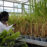 food-systems-innovations-to-watch-in-2025-–-farming-first