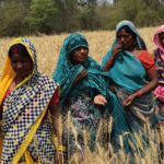 biofortification:-future-challenges-to-improve-nutrition-security-–-farming-first