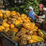 codex:-the-hidden-hand-facilitating-trade-–-farming-first