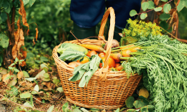 Learning From Degrowth to Ensure a Food-Secure Future – Farming First