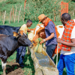 youth-led-innovations-will-help-transform-global-food-systems-–-farming-first