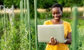Five Ways AI Will Power Agricultural Productivity Growth – Farming First