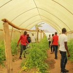 inclusive-finance-can-unlock-opportunities-for-youth-in-agriculture-–-farming-first