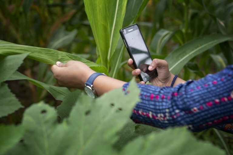 Read more about the article Farming in the Digital Age: Why Farmers Must Lead the Future – Farming First