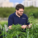 worldveg’s-dr-derek-barchenger-wins-2025-borlaug-field-award-–-farming-first