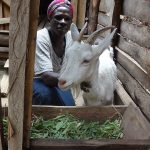 empowering-smallholder-farmers-is-key-for-sustainable-livestock-–-farming-first