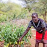 five-ways-communities-are-improving-nutrition-in-rural-uganda-–-farming-first