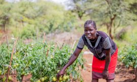 Five Ways Communities Are Improving Nutrition in Rural Uganda – Farming First