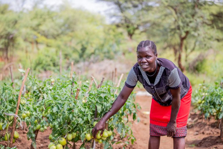 Read more about the article Five Ways Communities Are Improving Nutrition in Rural Uganda – Farming First