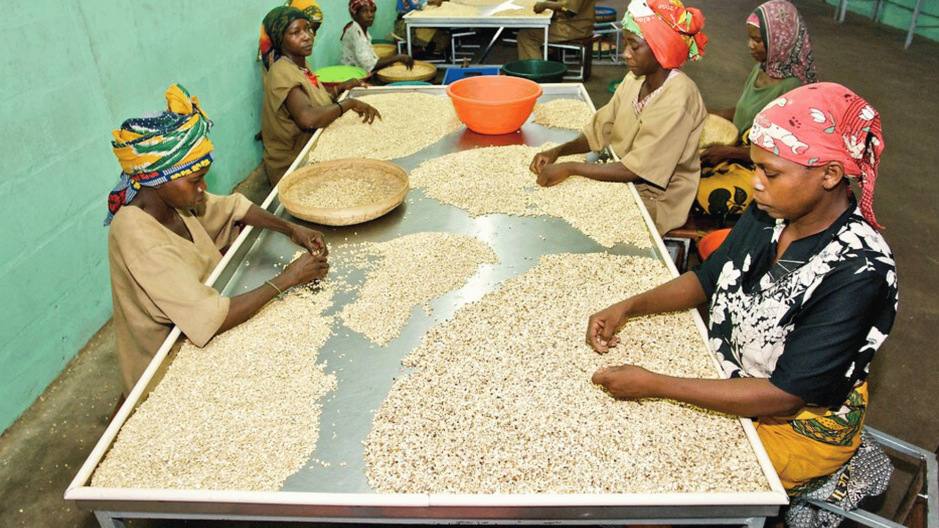 how-to-engage-the-private-sector-in-building-agri-food-systems-–-farming-first