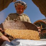 the-policy-innovations-we-need-to-end-hunger-and-malnutrition-–-farming-first