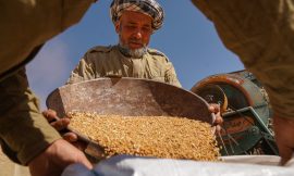 The Policy Innovations We Need to End Hunger and Malnutrition – Farming First