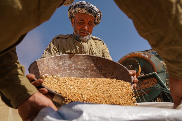 Read more about the article The Policy Innovations We Need to End Hunger and Malnutrition – Farming First