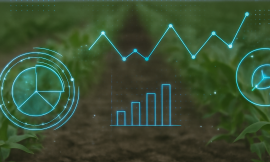 From precision to prediction in agriculture