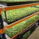 brief:-vertical-farmer-dream-harvest-auctions-off-$8m-of-un-used-kit-purchased-new-in-2022