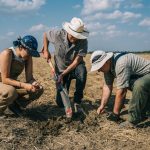 regenerative-agriculture’s-biggest-developments-in-2024-—-and-what-they-mean-for-2025