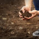 understanding-soil-extraction-methods-|-guy-sela-|-cropaia