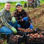 how-digital-marketplaces-are-empowering-small-farmers-–-farming-first