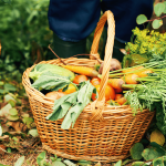 learning-from-degrowth-to-ensure-a-food-secure-future-–-farming-first