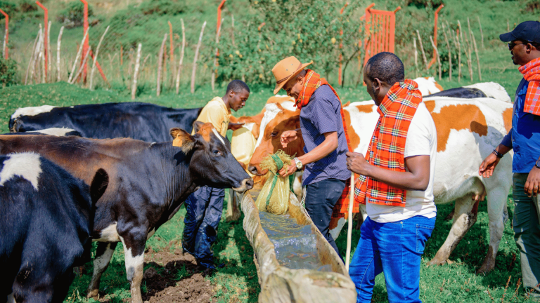 Read more about the article Youth-Led Innovations Will Help Transform Global Food Systems – Farming First