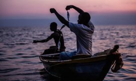 Africa’s Fisheries and Aquaculture Sector Needs Innovative Policies – Farming First