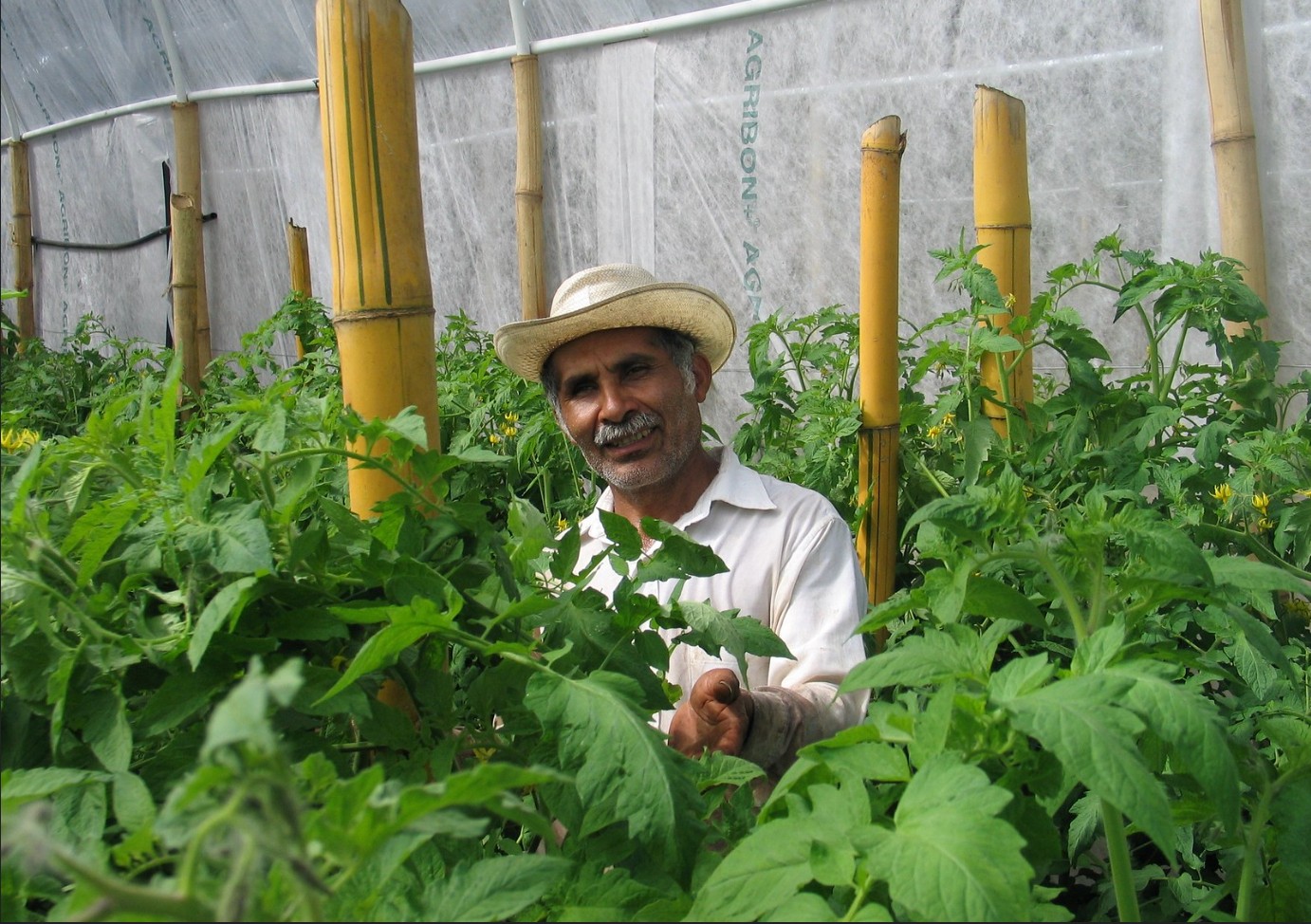 agrifoodtech-can-empower-smallholder-farmers-in-latin-america-–-farming-first