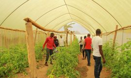Inclusive Finance Can Unlock Opportunities For Youth in Agriculture – Farming First