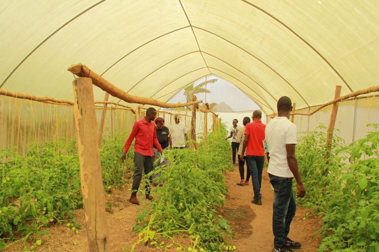 Read more about the article Inclusive Finance Can Unlock Opportunities For Youth in Agriculture – Farming First