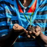 10-year-strategic-plan-launched-to-drive-africa’s-agrifood-system-–-farming-first