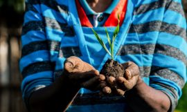 10-Year Strategic Plan Launched to Drive Africa’s Agrifood System – Farming First