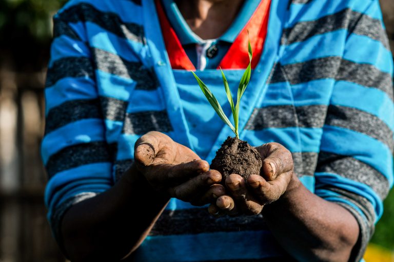 Read more about the article 10-Year Strategic Plan Launched to Drive Africa’s Agrifood System – Farming First