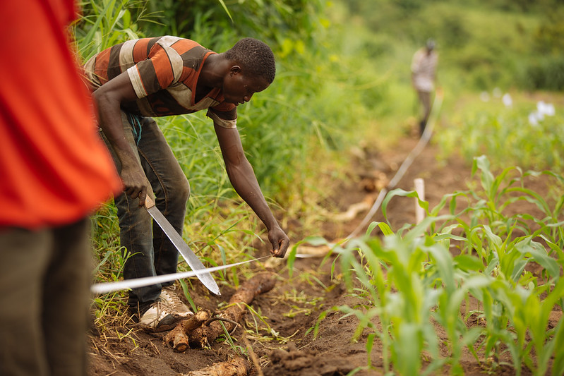 how-agricultural-innovation-will-drive-food-security-solutions-–-farming-first
