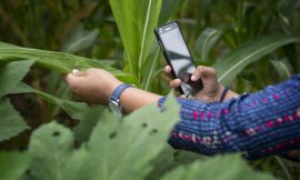 Farming in the Digital Age: Why Farmers Must Lead the Future – Farming First