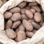 a-coordinated-response-to-combat-devastating-potato-pest-–-farming-first
