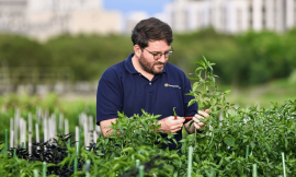 WorldVeg’s Dr Derek Barchenger Wins 2025 Borlaug Field Award – Farming First