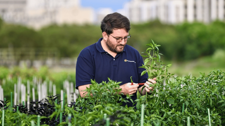 Read more about the article WorldVeg’s Dr Derek Barchenger Wins 2025 Borlaug Field Award – Farming First