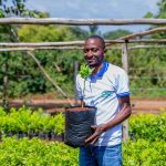 tree-planting-drives-climate-action-and-rural-jobs-in-kenya-–-farming-first