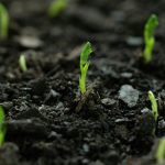 a-global-model-for-regenerative-agriculture-using-soil-microbes-–-farming-first