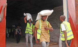 Tailored Solutions to Build Africa’s Resilience and End Hunger – Farming First