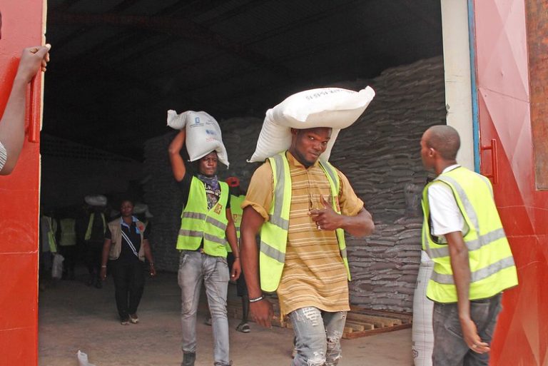 Read more about the article Tailored Solutions to Build Africa’s Resilience and End Hunger – Farming First