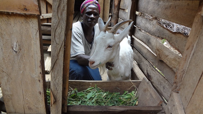 empowering-smallholder-farmers-is-key-for-sustainable-livestock-–-farming-first