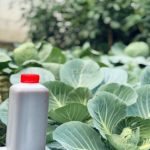 how-integrated-nutrient-management-bridges-sustainable-farming-–-farming-first