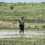 how-women-farmers-advance-food-security-and-equality –-farming-first