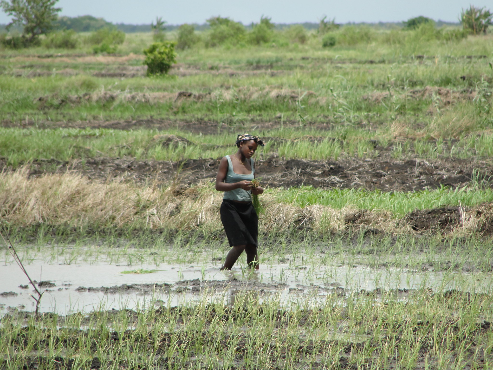 how-women-farmers-advance-food-security-and-equality –-farming-first
