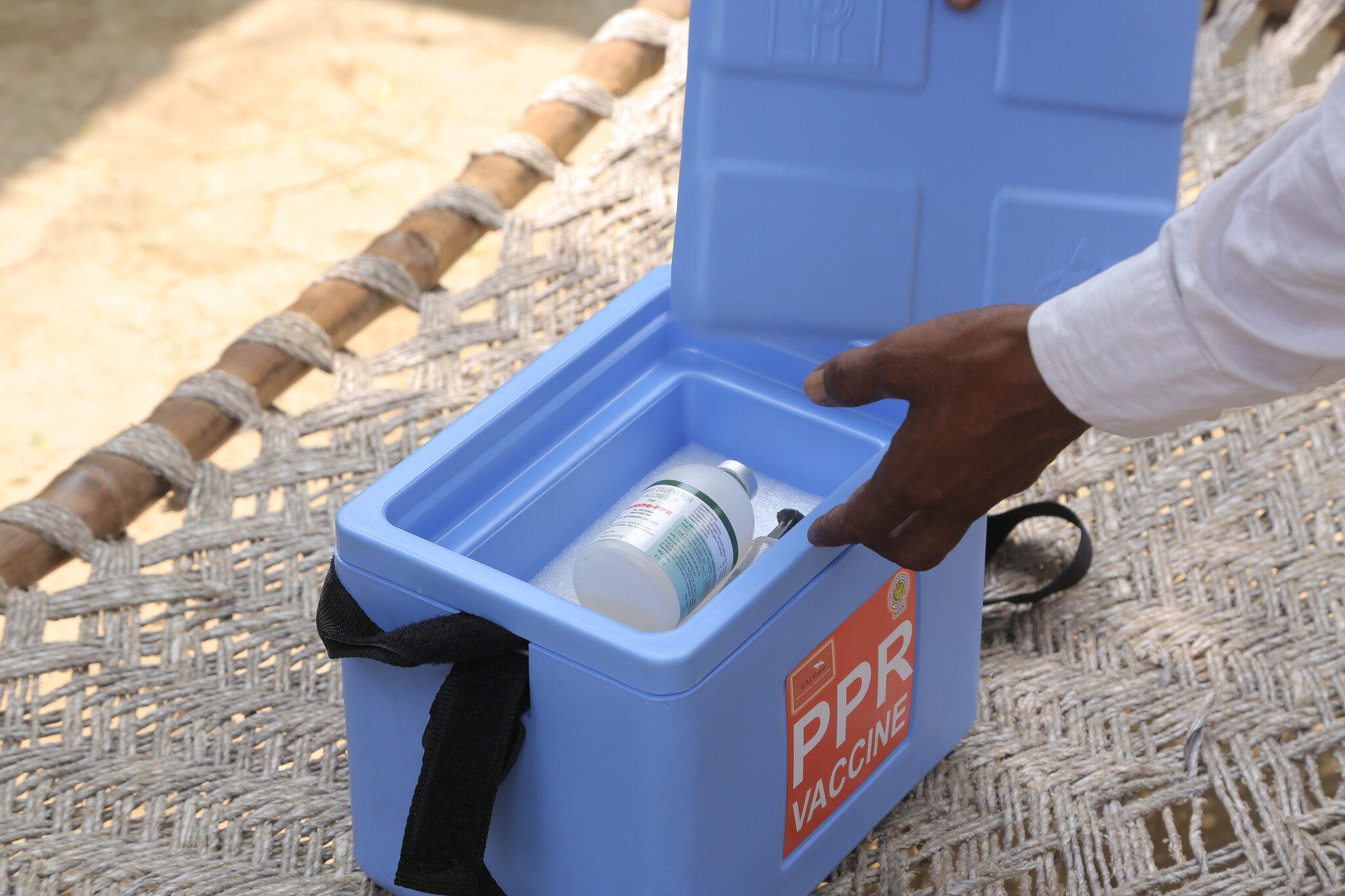 stopping-the-spread-of-ppr-starts-with-vaccine-access-in-africa-–-farming-first