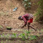 $14million-gafsp-allocation-to-unlock-finance-for-african-farmers-–-farming-first