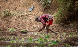 $14Million GAFSP Allocation to Unlock Finance for African Farmers – Farming First