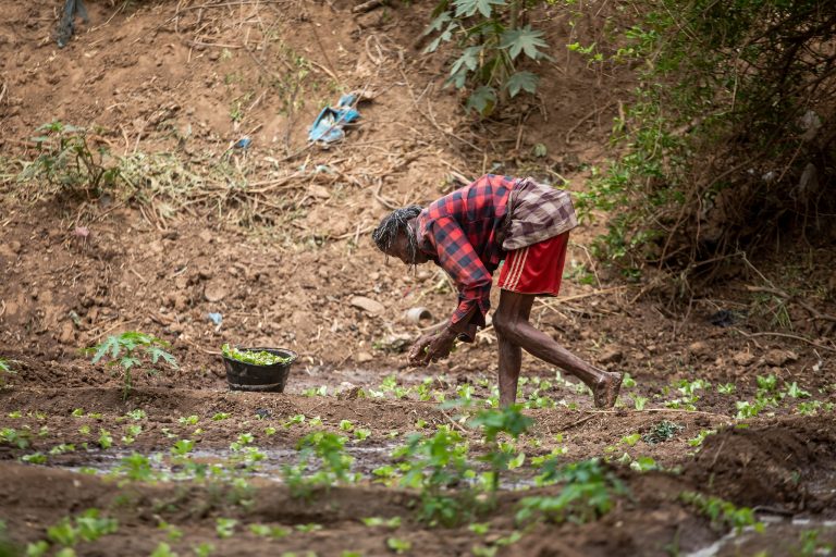 Read more about the article $14Million GAFSP Allocation to Unlock Finance for African Farmers – Farming First